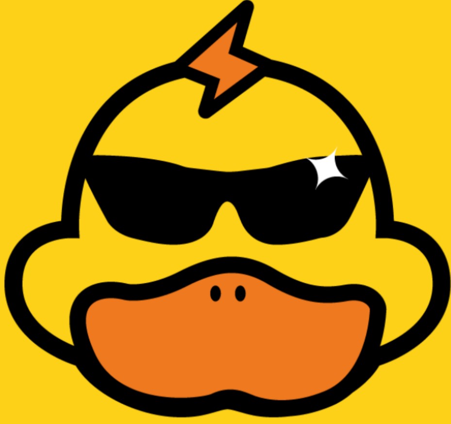 快鸭vqn加速官网